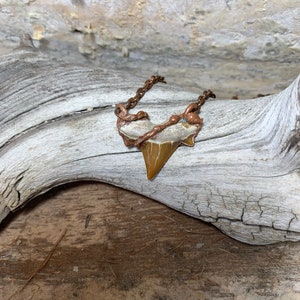 Shark tooth necklace, shark tooth pendent, gift for him, fossilized, shark tooth necklace, unique gift, mermaid jewelry, ready to ship