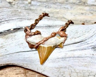 Shark tooth necklace, shark tooth pendent, gift for him, fossilized, shark tooth necklace, unique gift, mermaid jewelry, ready to ship