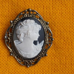 May include: A white cameo brooch with a detailed profile of a woman's face, set in a gold-toned ornate frame.