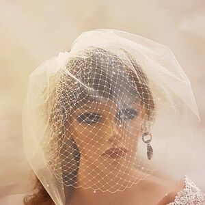May include: A white bridal veil with a delicate net pattern and small pearl embellishments. The veil is gathered at the top and falls softly over the shoulders.