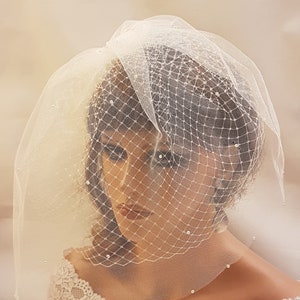 May include: A white bridal veil with a delicate net pattern and small pearl embellishments. The veil is short and covers the top of the head and part of the face.