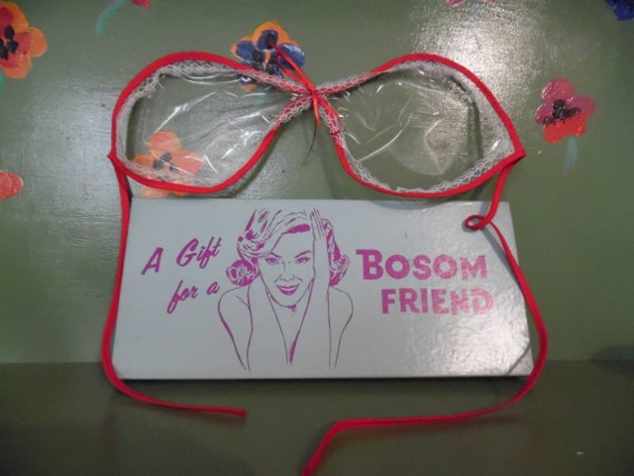 Funny Naughty Gag Gift Dirty Joke Bra Plastic Boso