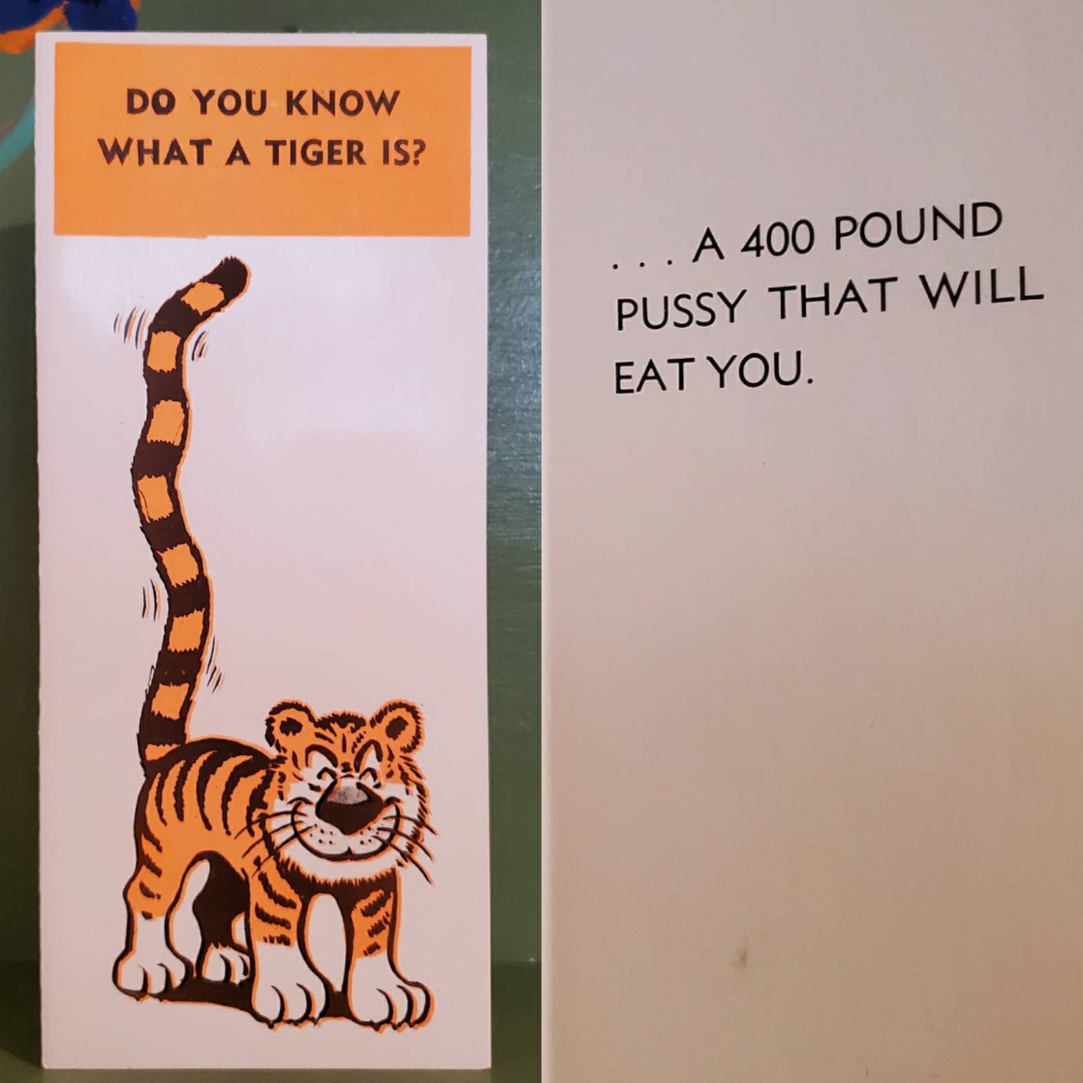 Pussy Tiger