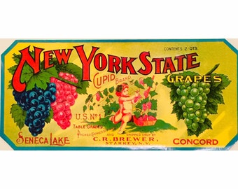 Vintage Crate Label for New York State Grapes from Tivoli, NY - made in USA circa 1910s