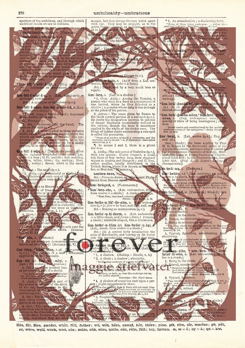 Forever by Maggie Stiefvater. Book Cover Art Print Etsy
