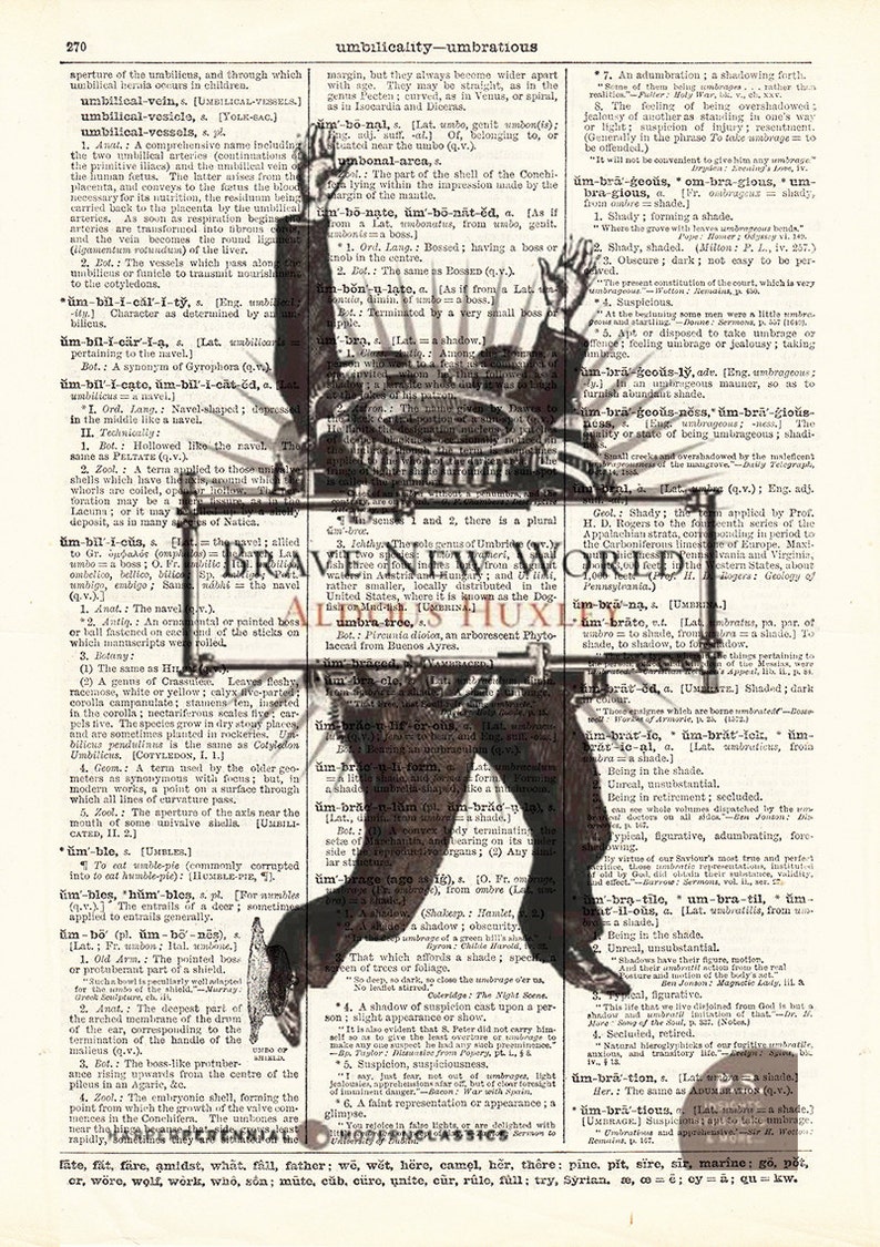 brave new world book covers brave new world book covers