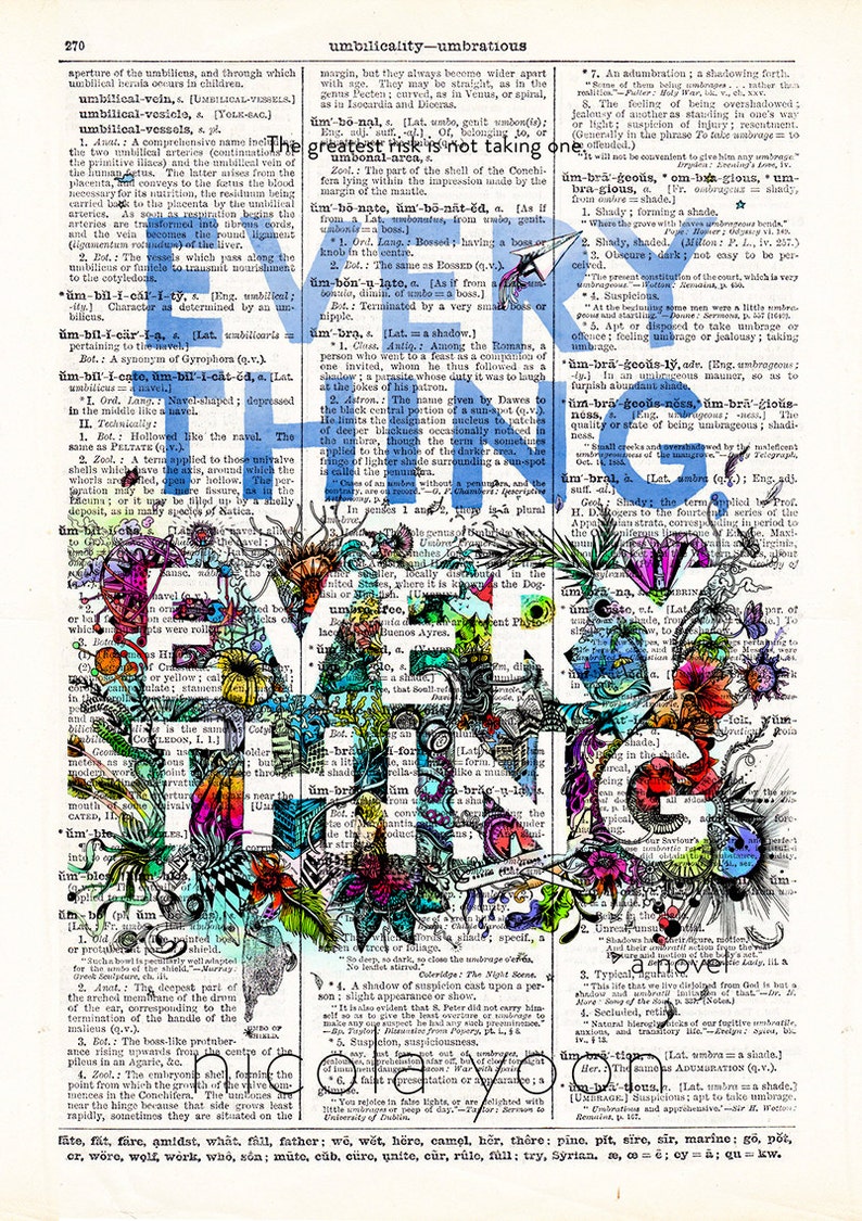 Everything, Everything by Nicola Yoon. Book Cover Art Print image 2