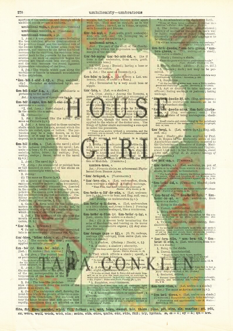 The House Girl by Tara Conklin. Book Cover Art Print Etsy