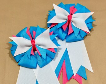Blue & Hot Pink Equestrian Hair Bow/Show Bow Set