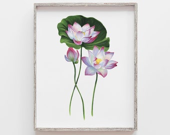 Lily Pad Drawing Etsy