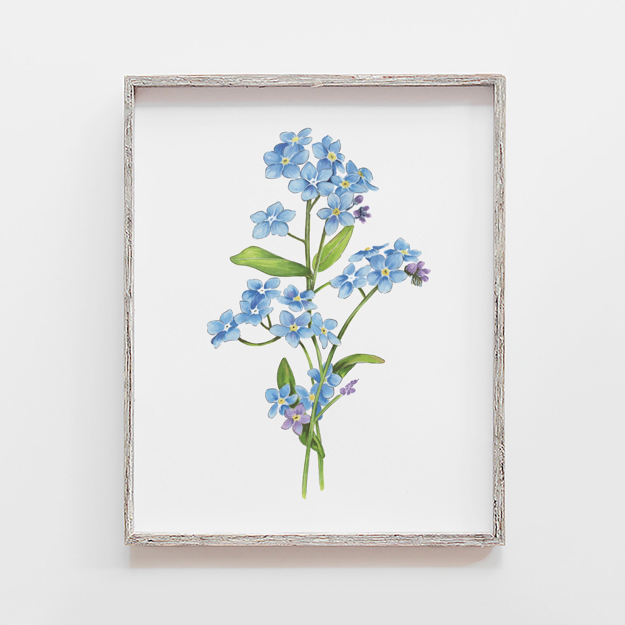 Forget Me Not Flower Print Marker Drawing Blue Etsy Forget Me Not Flower Print Marker Drawing Blue Etsy