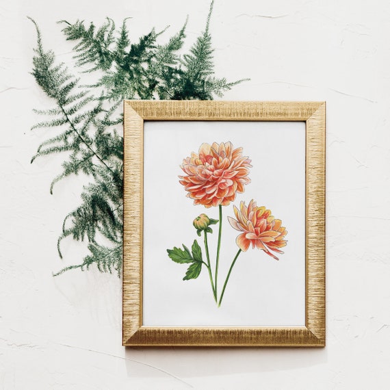 Peach Dahlia Art Print: Botanical Marker Drawing - Etsy