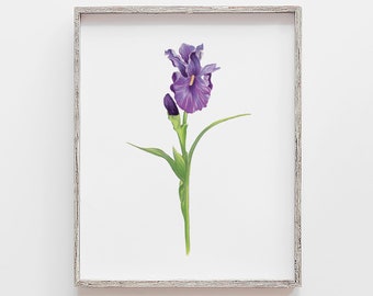 Iris Art Print: Purple Floral Marker Drawing