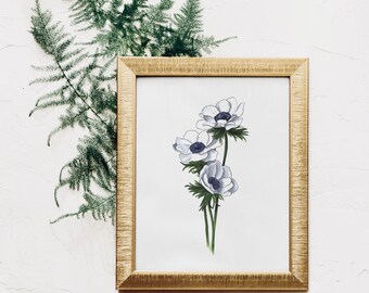 Anemone Flower Print | Marker Drawing White Anemone
