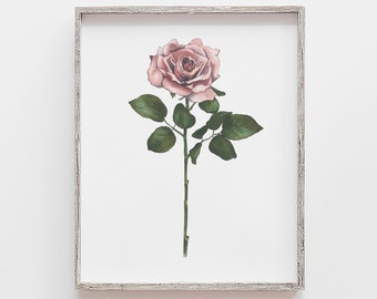 Rose Flower Print | Mauve Rose Marker Drawing Illustration | Pink Rose Floral Artwork | Floral Wall Art | Gift for Her or Mom | Home decor