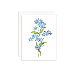 Forget-Me-Not Flower Greeting Card | Marker Drawing White Forget-Me-Not  Botanical Illustration | Floral Wall Art | Farmhouse | Gift for Her