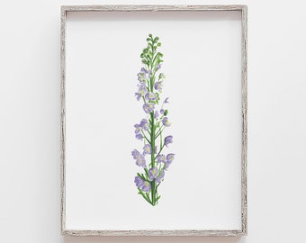 Delphinium Flower Art Print, purple delphinium Marker Drawing Illustration, July birth flower Floral Artwork, floral Wall Art