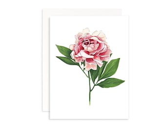 Pink Peony Greeting Card: Botanical Marker Illustration