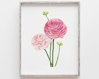 May include: A framed print of a watercolor painting featuring three pink ranunculus flowers with green stems and leaves on a white background.