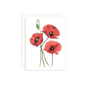 Red Poppies Flower Greeting Card: Botanical Marker Illustration