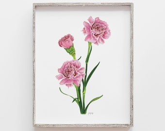 Carnation Flower Art Print, Pink Carnation Marker Drawing Illustration, January birth flower Floral Artwork, floral Wall Art, Gift for her