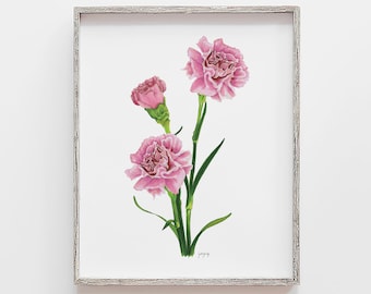 Pink Carnation Art Print: January Birth Flower Marker Illustration
