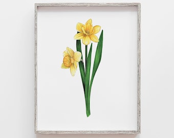May include: A framed print of a watercolor painting of two yellow daffodils with green stems and leaves.