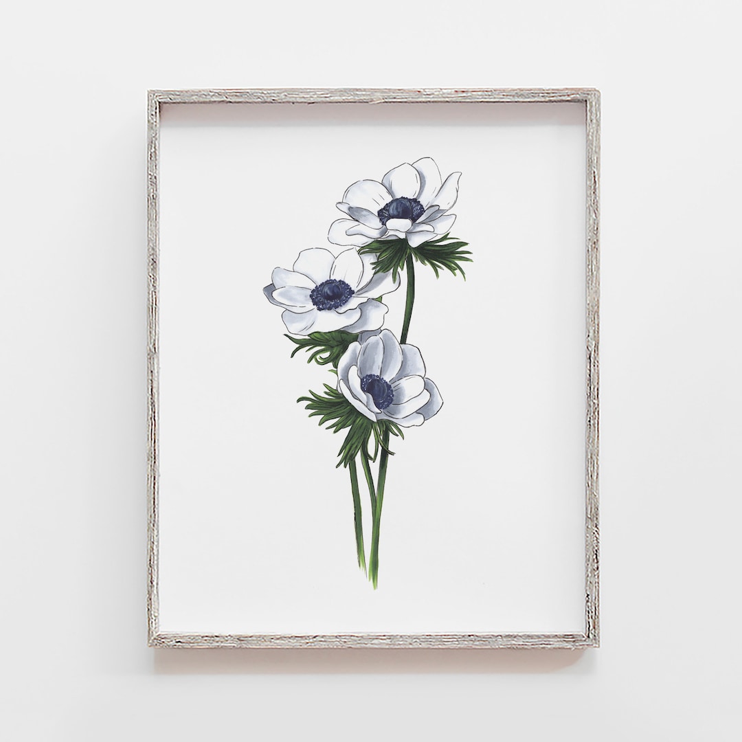 Anemone Flower Art Print: Black and White Botanical Illustration