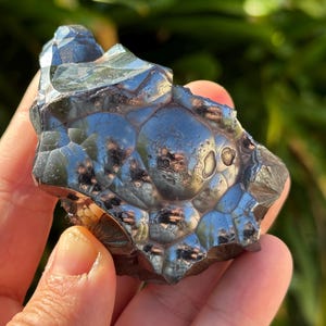 May include: A polished, metallic-looking hematite stone with a bubbly, textured surface. The stone has a dark, reflective sheen with areas of lighter color. The natural stone is held in a hand against a blurred green background.