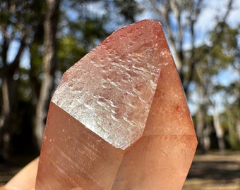 Scarlet Temple Lemurian Quartz Crystal, Pink Red Rose Lemurian | Brazil, Vintage Stock, Chanelling Face, Record Keepers