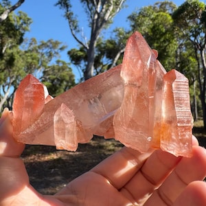 Scarlet Temple Lemurian Cluster, Red Hematite Quartz, Self Standing, Enormous for Species | Diamantina, Minas Gerais, Brazil