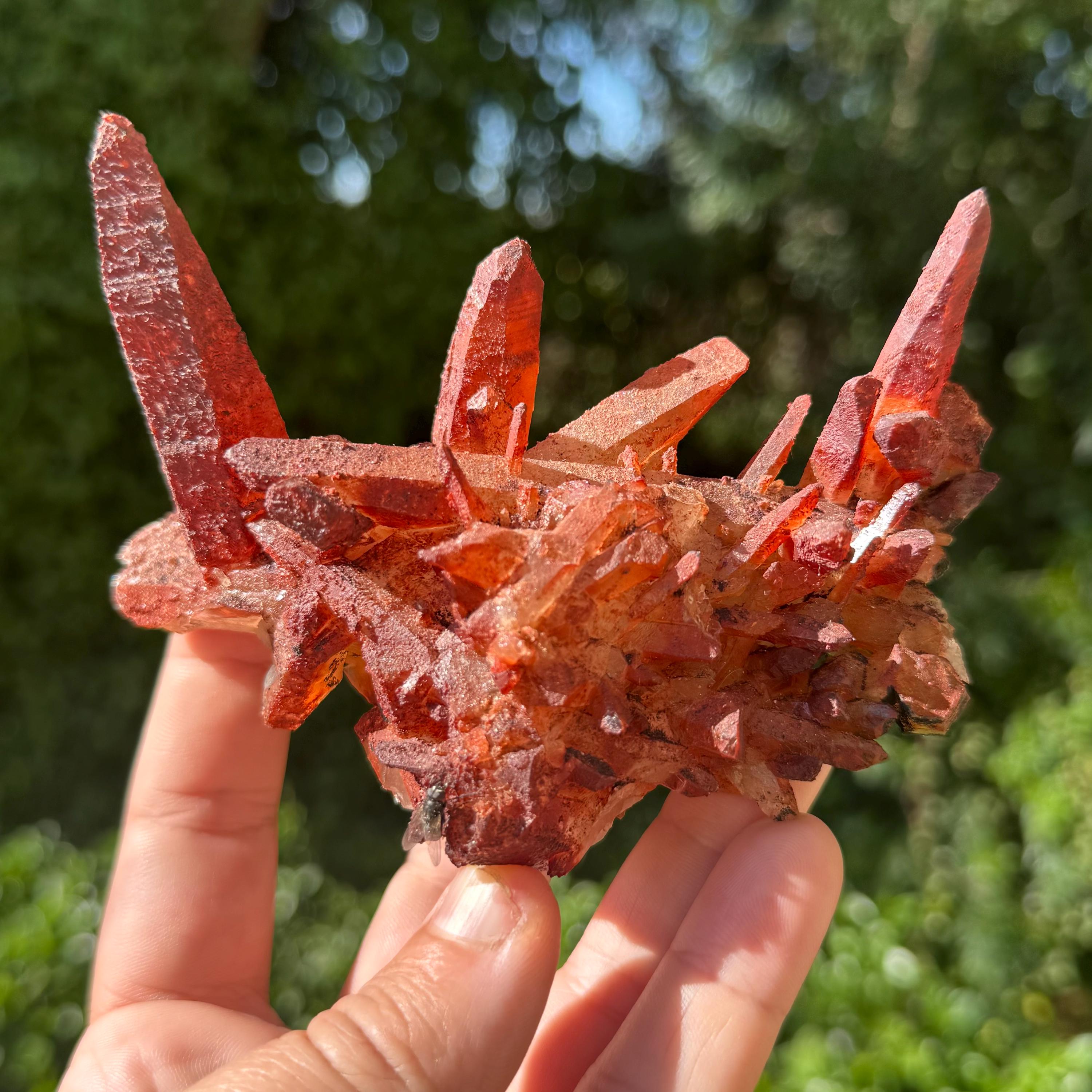 Ferruginous quartz - Etsy 日本