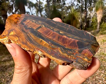 Packsaddle Tiger Eye from the Hamersley Ranges, Pilbara, Western Australia | Australian Crystal, Mineral | Billions of years Old RARE