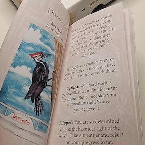 May include: An open book displays an illustrated card with a watercolor painting of a Pileated Woodpecker. The card is labeled "Determination" with key words "Persevere, Goals". Text describes the card's meaning and upright/flipped interpretations.
