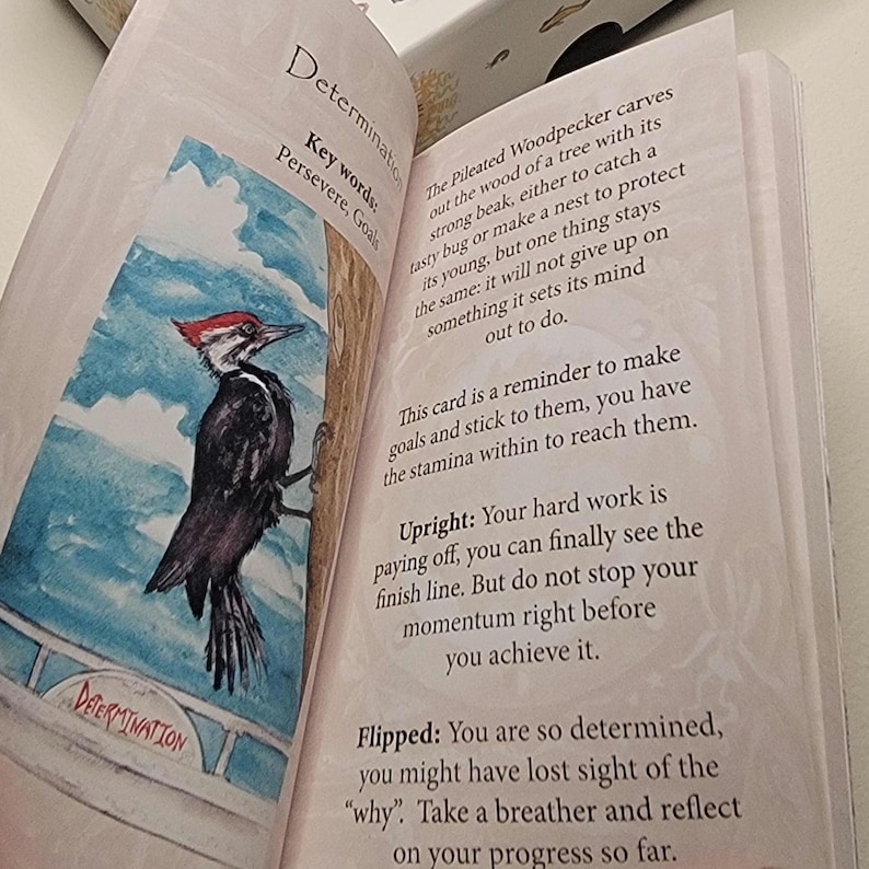 May include: An open book displays an illustrated card with a watercolor painting of a Pileated Woodpecker. The card is labeled "Determination" with key words "Persevere, Goals". Text describes the card's meaning and upright/flipped interpretations.