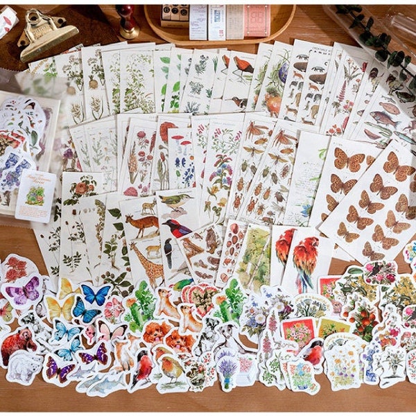 Assorted Sets, Paper & Sticker, Destination, Sea, Food Beverage, Plants, Nature, Animals, Space, Moon, Planets, Zodiac, Stationary, Mix