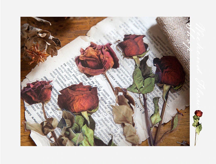 large stickers dried flowers