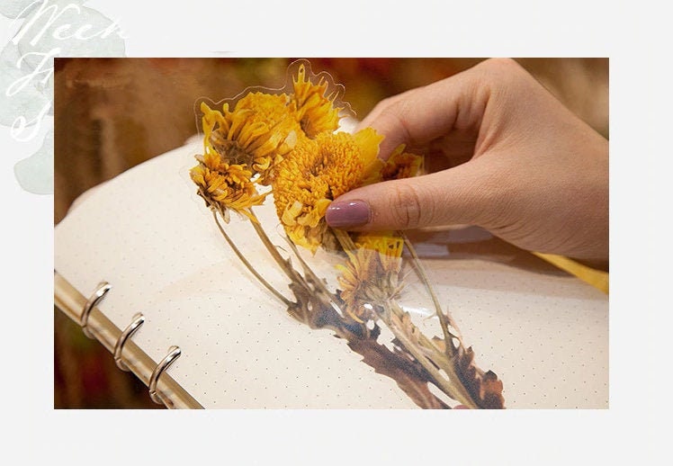 large stickers dried flowers