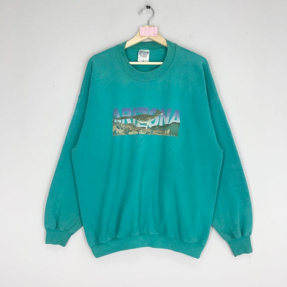 Vintage Arizona Sudaderas Arizona Su ter Arizona Cactus Wren Verde
