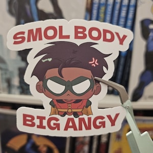 May include: A die-cut sticker featuring a chibi-style character with dark hair, a black mask, and a red and yellow costume. The text SMOL BODY is printed in red above the character, and BIG ANGY is printed in red below the character.