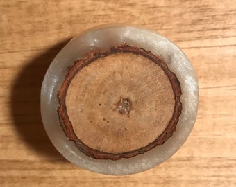Natural wooden tree cross section circle knob with quartz color resin + silver steel hardware
