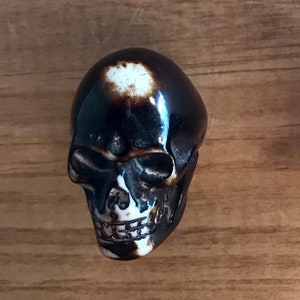 Resin Skull Black Brown White furniture / cabinet / drawer knobs + silver hardware