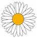 Petunia