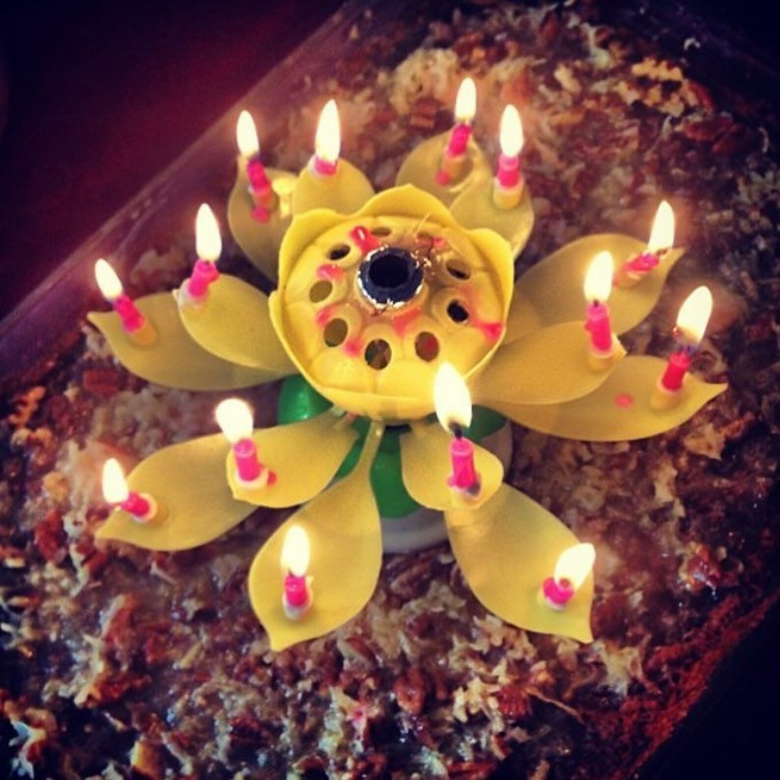 Amazing Rotating Lotus Birthday Candles 6 colours Etsy