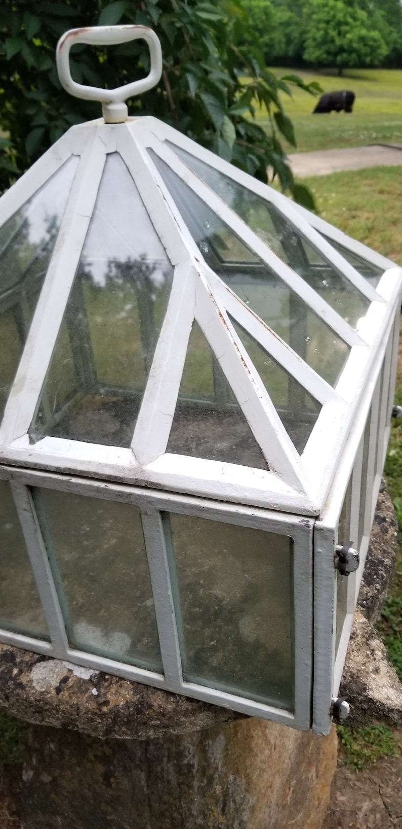 Saleantique 1860's English Victorian Iron Terrarium Pristine Victorian