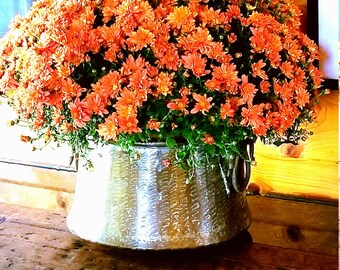 A Large Antique Hammered Copper Kettle Most Excellent Condition Copper Pot Farmhouse Kitchen Accessories Rustic Lodge Fireplace Accessories