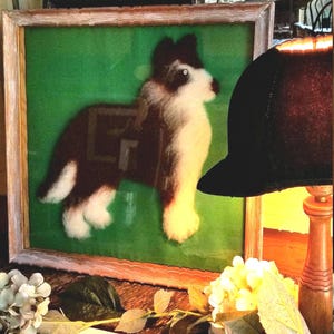1***Rare Large Vintage Limed Oak Display Wall Hanging Real Fur Baby Dog Collie Hair Shadow Box Collie Dog Wall Art Vintage Dog Art