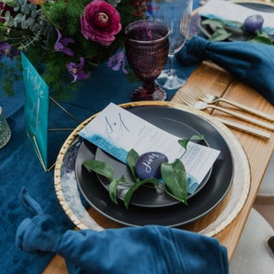 Velvet Napkins, Table Setting, 20x20 Napkins, Wedding Table Decor, Whimsical Wedding, Table Decorations, Bridal Shower, Baby Shower, Event image 2
