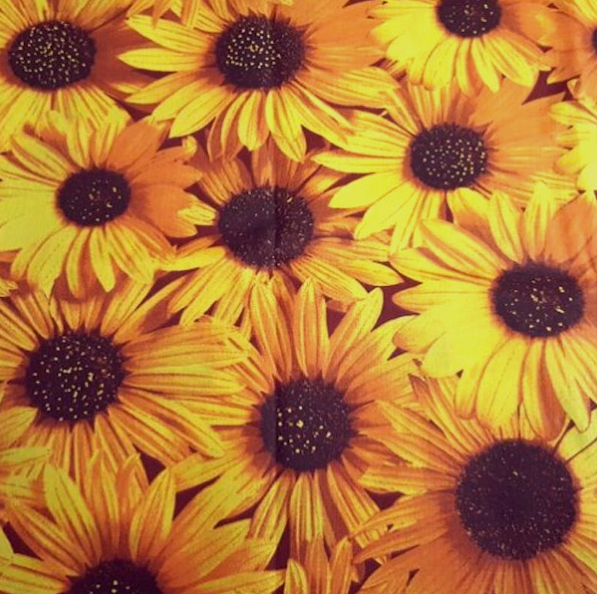 pics Sunflower Cotton Fabric By The Yard sunflower fabric by the yard all