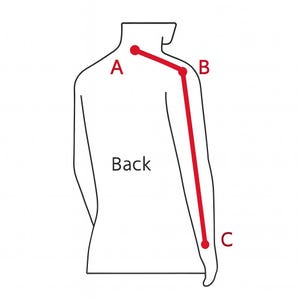 May include: Diagram of a human torso from the back, with a red line indicating a measurement from point A to C. The word "Back" is written below the torso outline. Points A, B, and C are labeled.